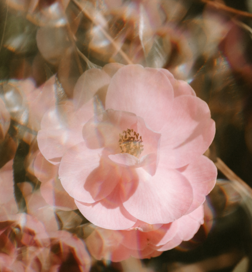 MOISTURIZING CONDITIONER BAR