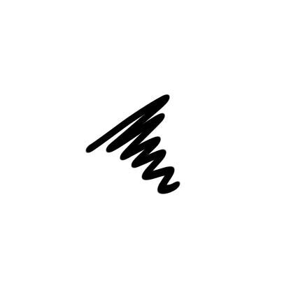 PERFECT EYELINER PEN